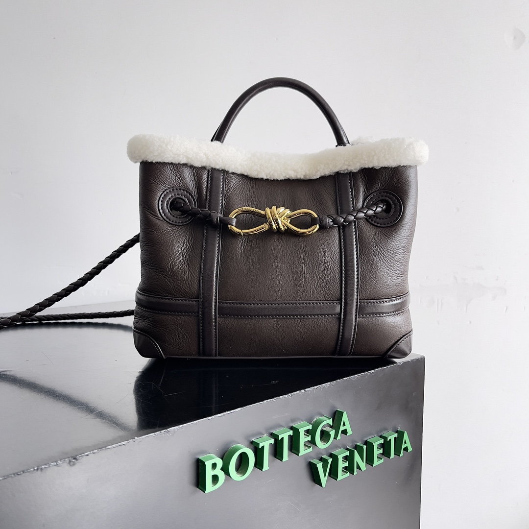 BOTTEGA VENETA Shearling Aviator Small Andiamo Shoulder