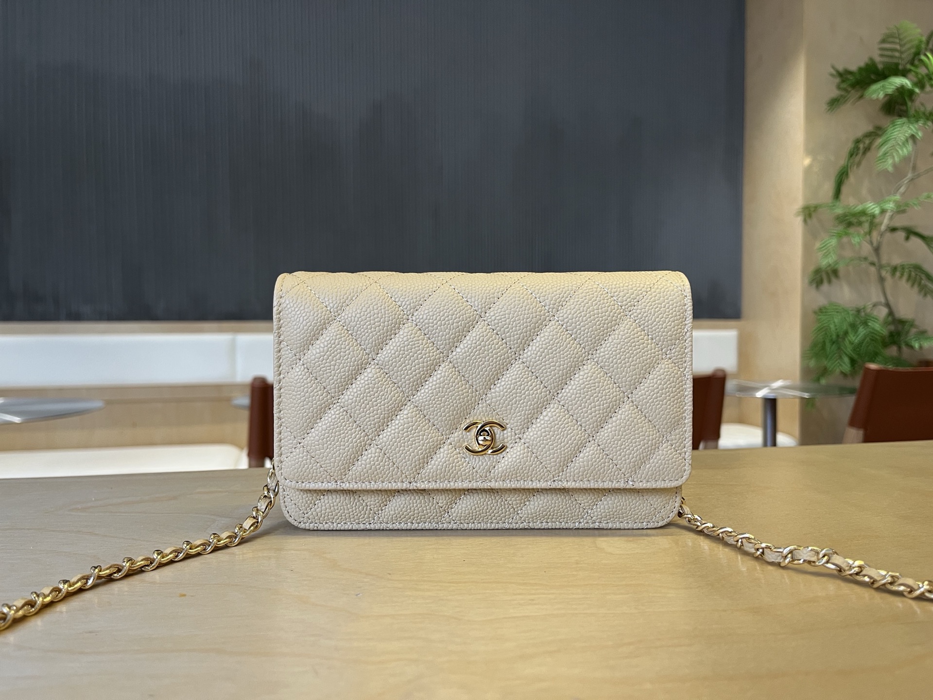 CHANEL Unused WOC Classic Crossbody Bag Chip Version
