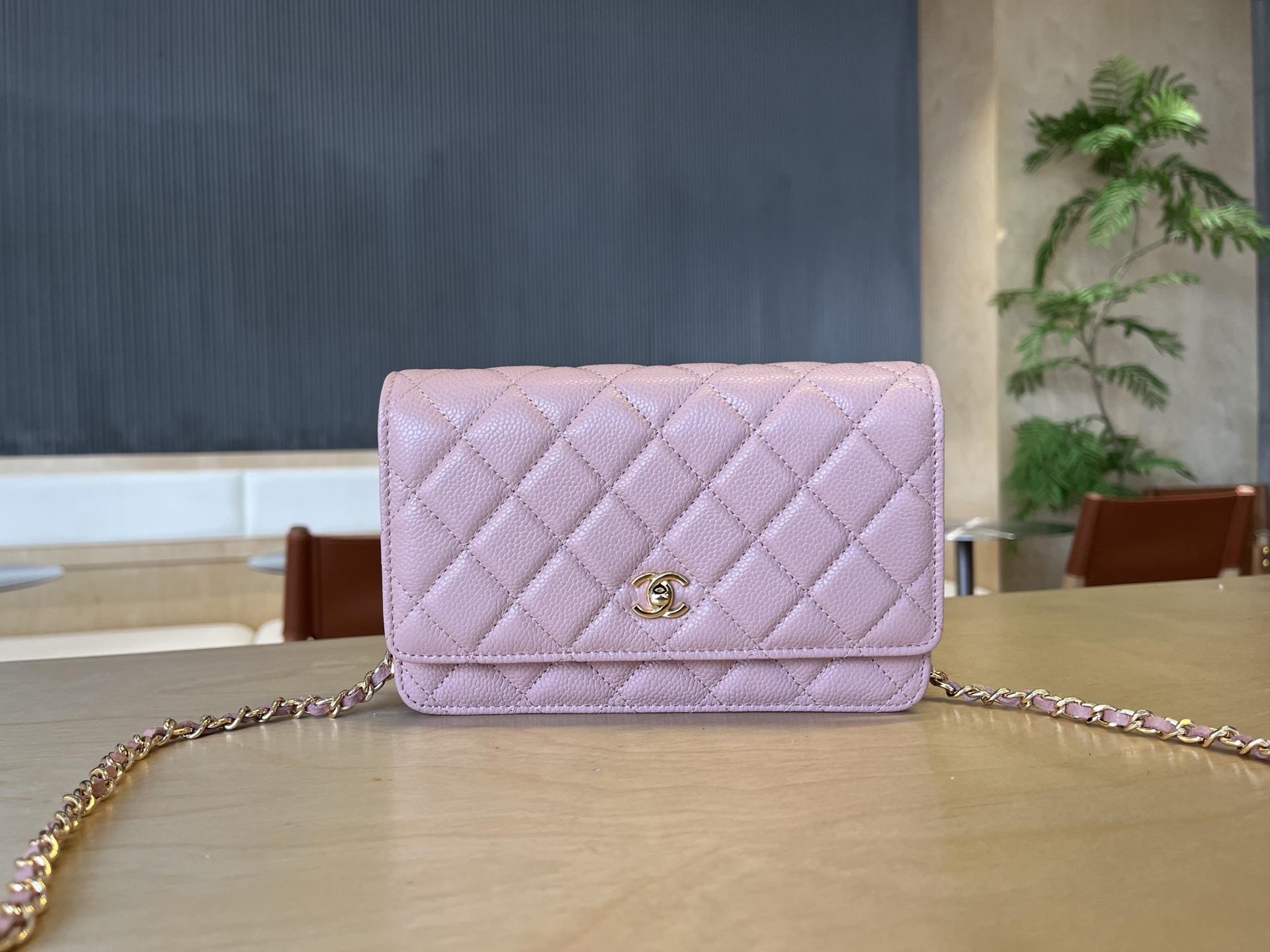 CHANEL Timeless Classic Line AP0250 Chain wallet #260-007-892-6554