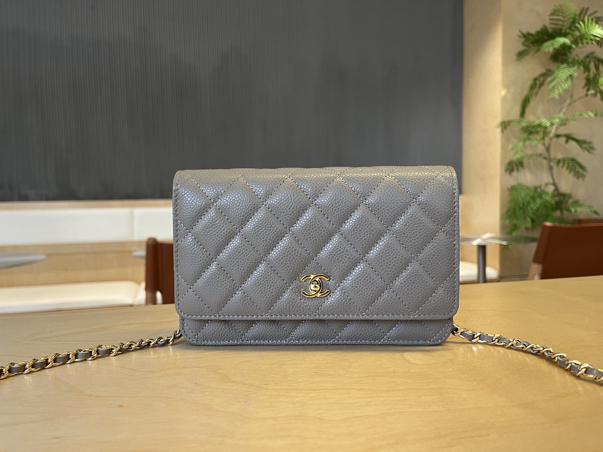 CHANEL Caviar Quilted Wallet On Chain WOC Grey 1065545