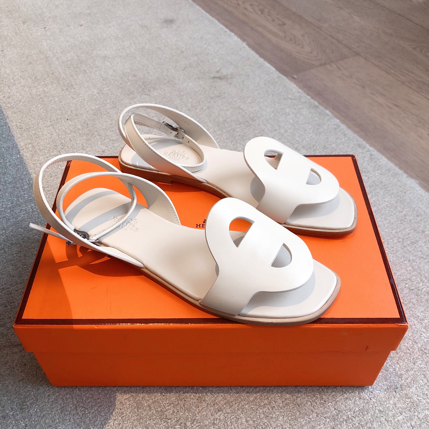 HERMES   0019