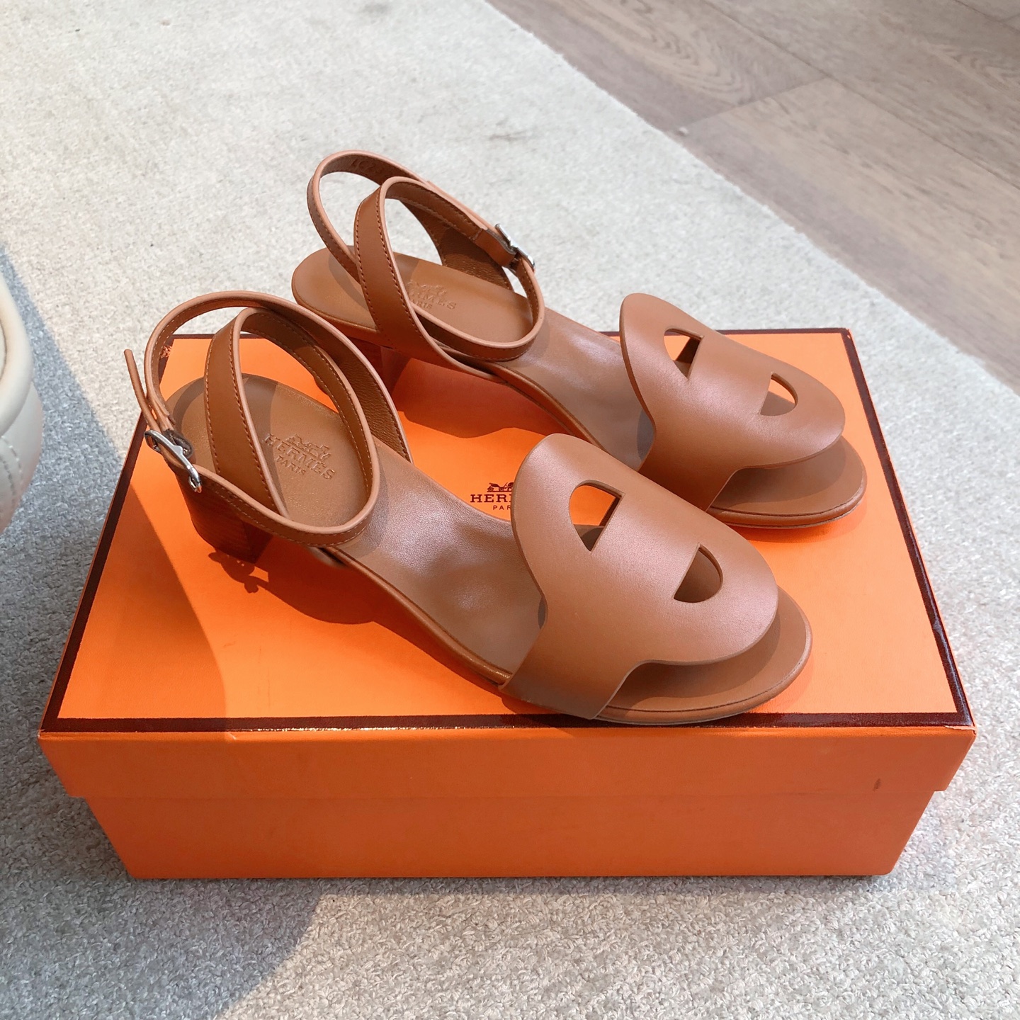 HERMES   0029