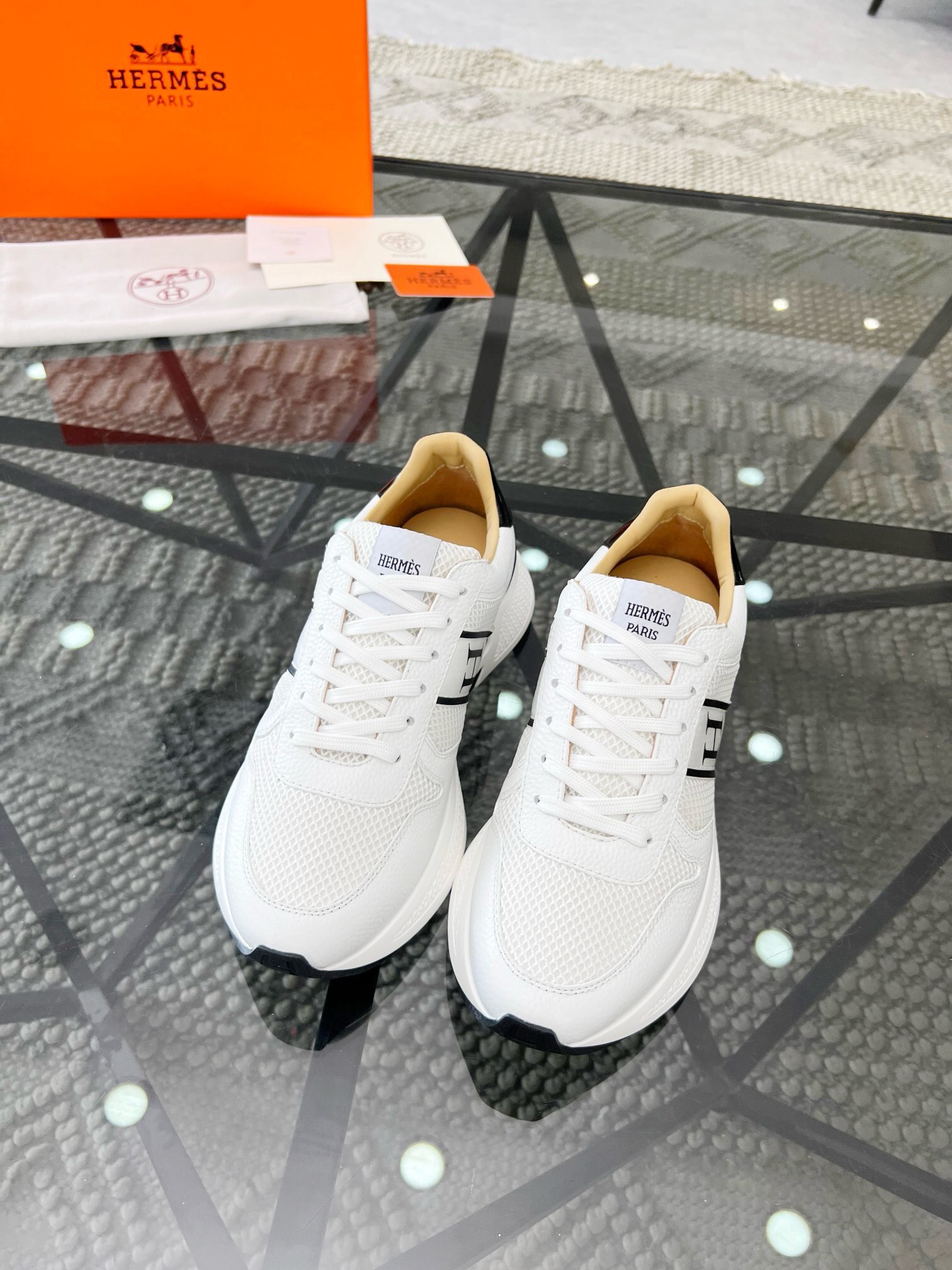 HERMES 00459