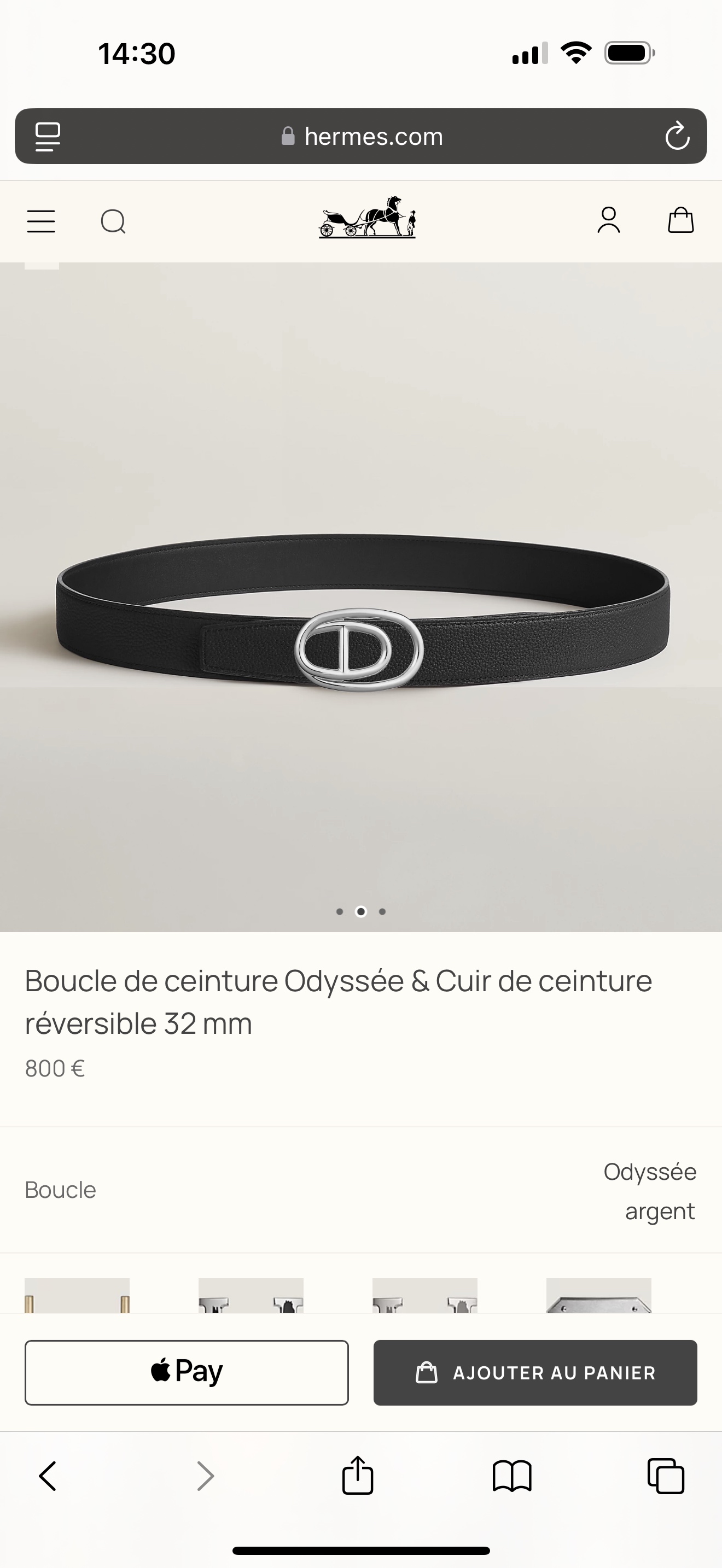 HERMES 00488