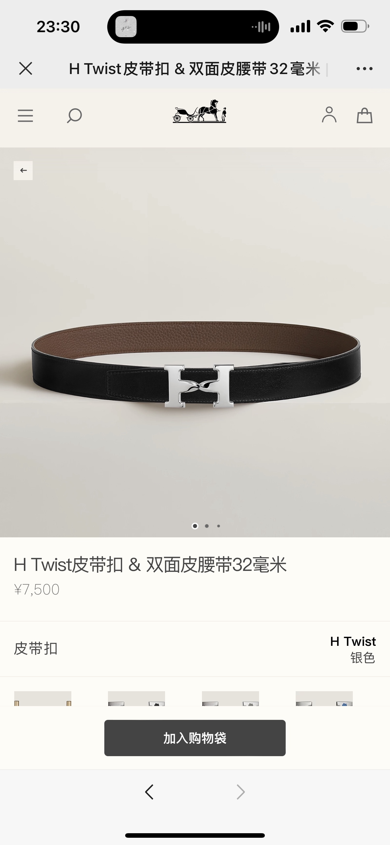 HERMES  0318