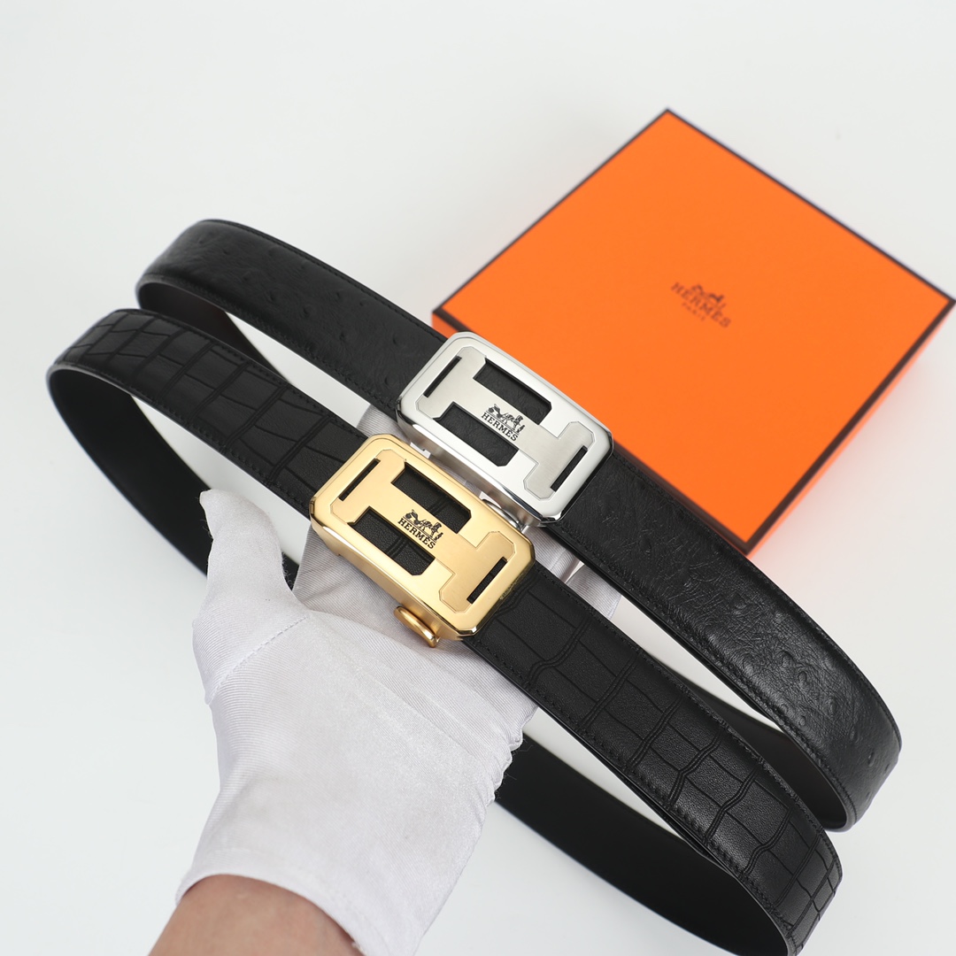 HERMES 0529