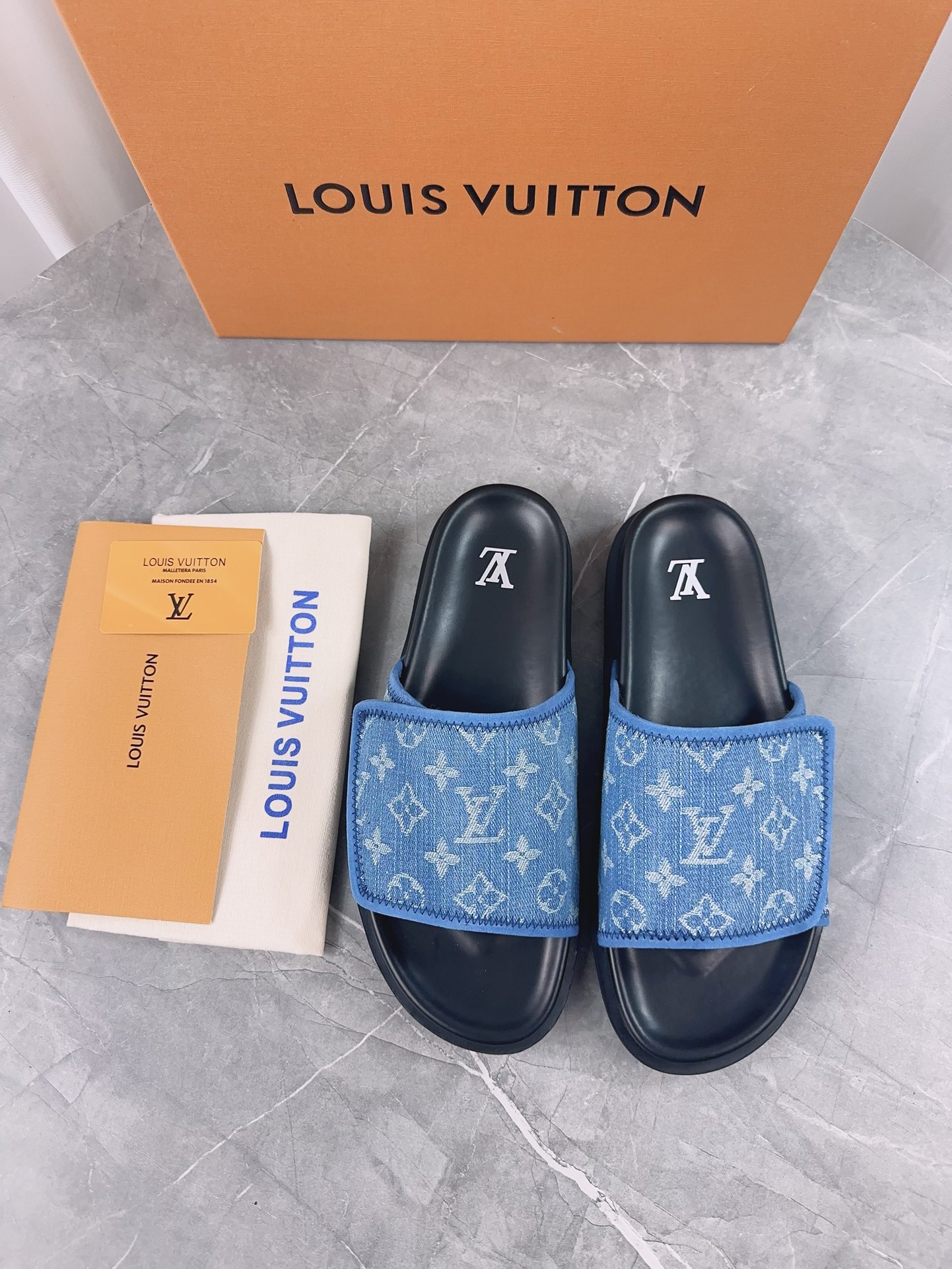 LV 01619