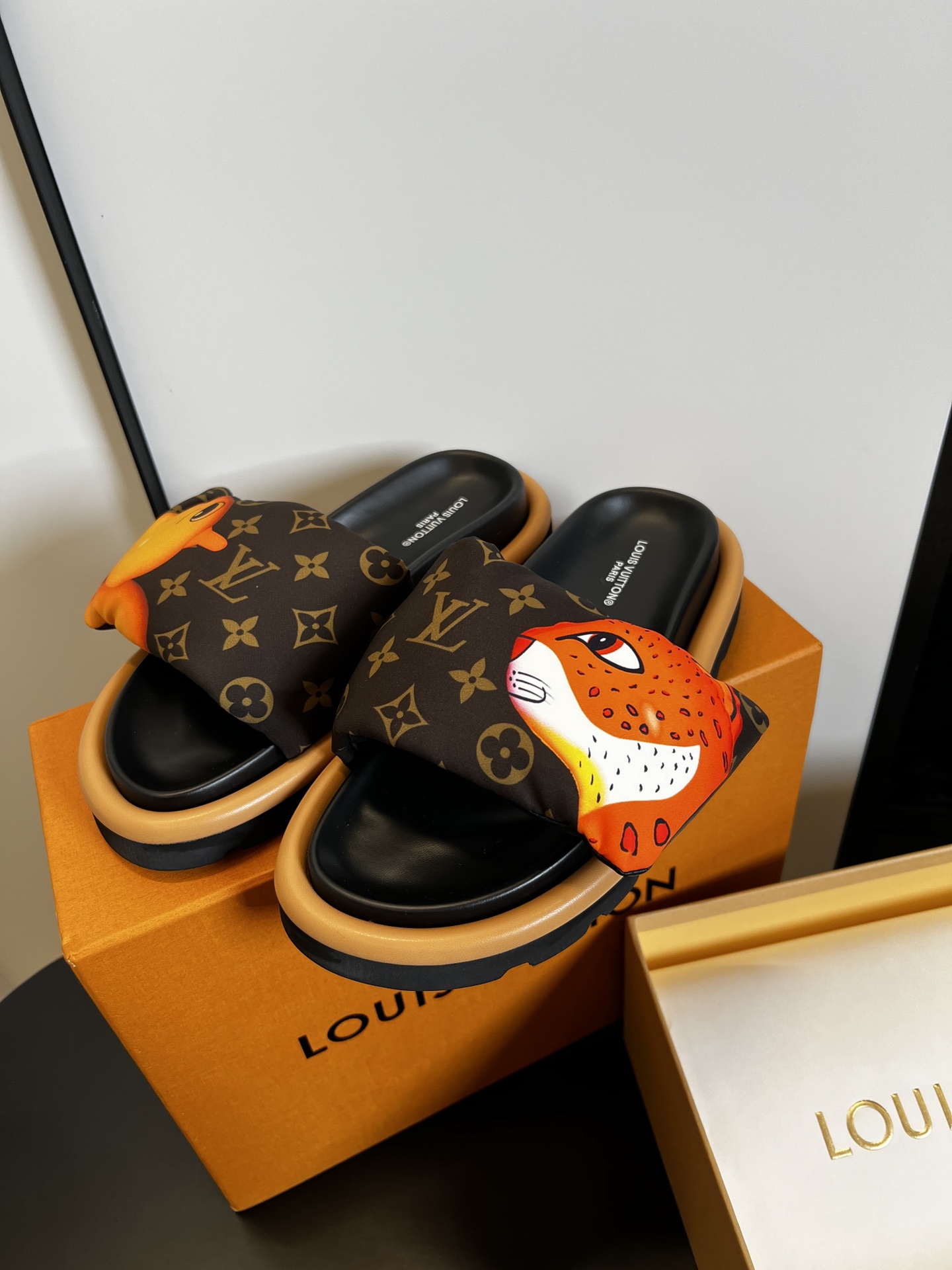 LV  02649