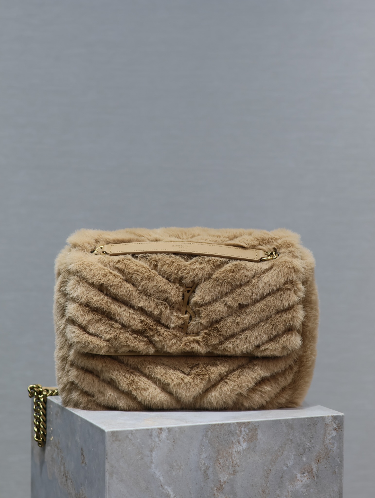 YSL 02589